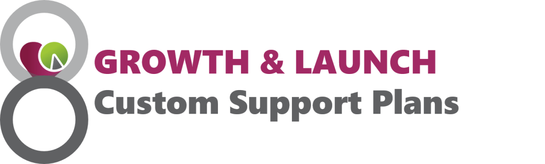 Business8-hub-services-growth-launch-custom-support-plans-image